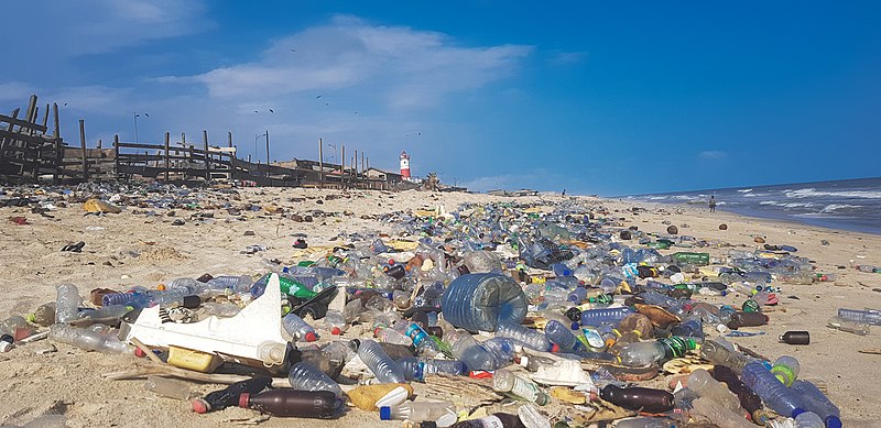 Initiative Communautaire de Protection de l’Environnement et de Sensibilisation sur les Déchets Plastiques dans les Zones Lacustres du Lac Albert